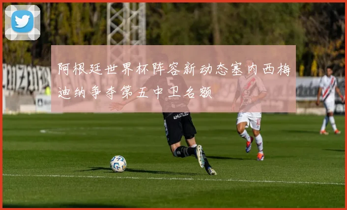 阿根廷世界杯阵容新动态塞内西梅迪纳争夺第五中卫名额
