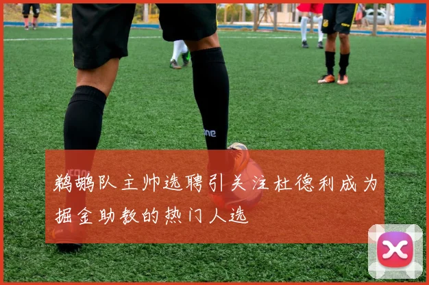 鹈鹕队主帅选聘引关注杜德利成为掘金助教的热门人选