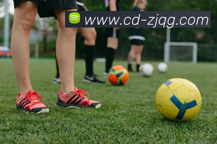 星空体育app平台官网APP 封面图